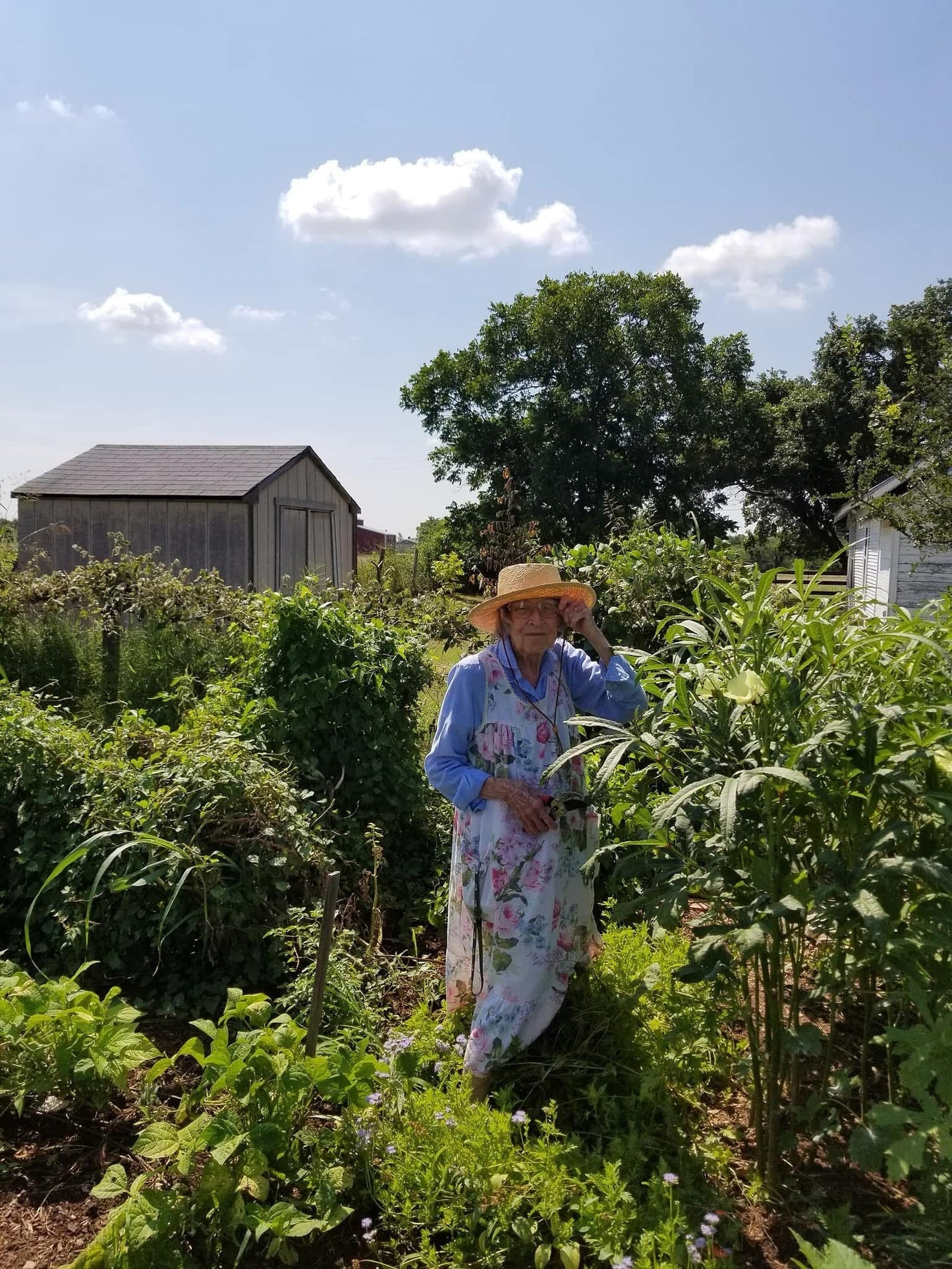My grandmother standing in her farm garden which is now our flower farm