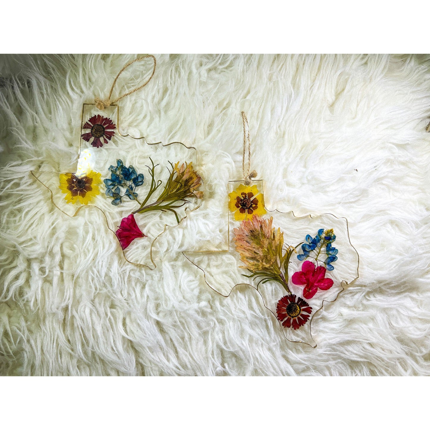 Texas wildflower ornament  wall art