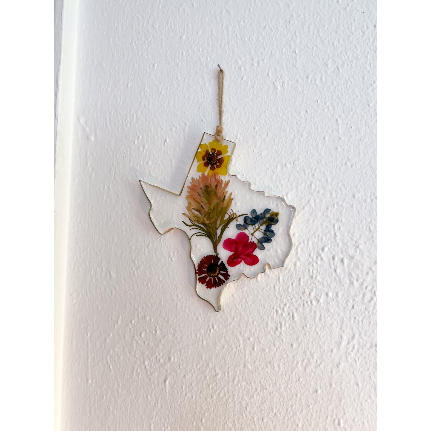 Texas wildflower ornament  wall art