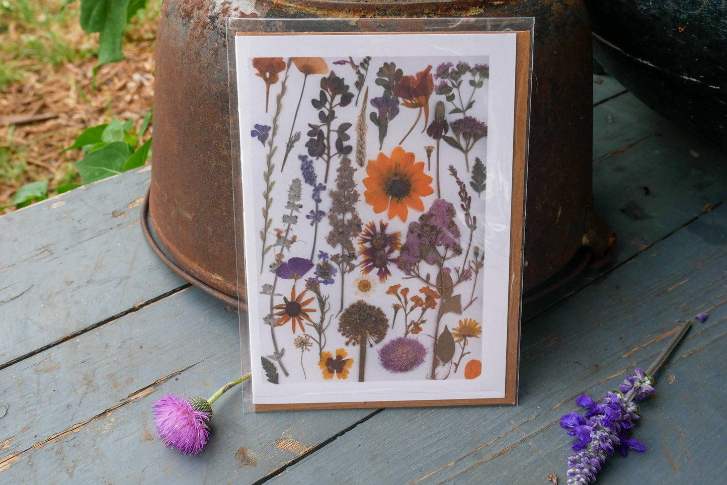Title: Pressed Texas wildflower Greeting Card –PRINT, Blank Inside, Flowers Grown on Our Texas Farm