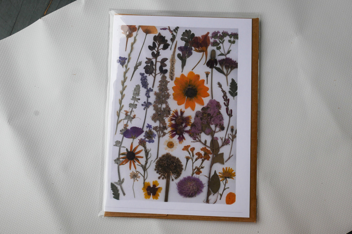 Texas wildflower blank greeting card