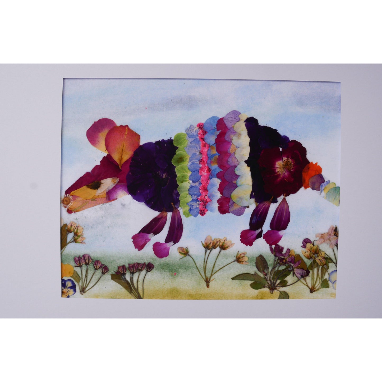 Pressed flower Armadillo print - Remedy Design Shop