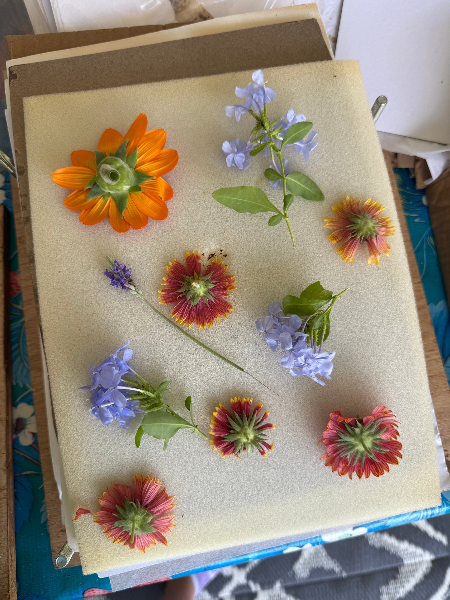 Why I Started Preserving Flowers (and Why It Still Feels Like a Remedy)