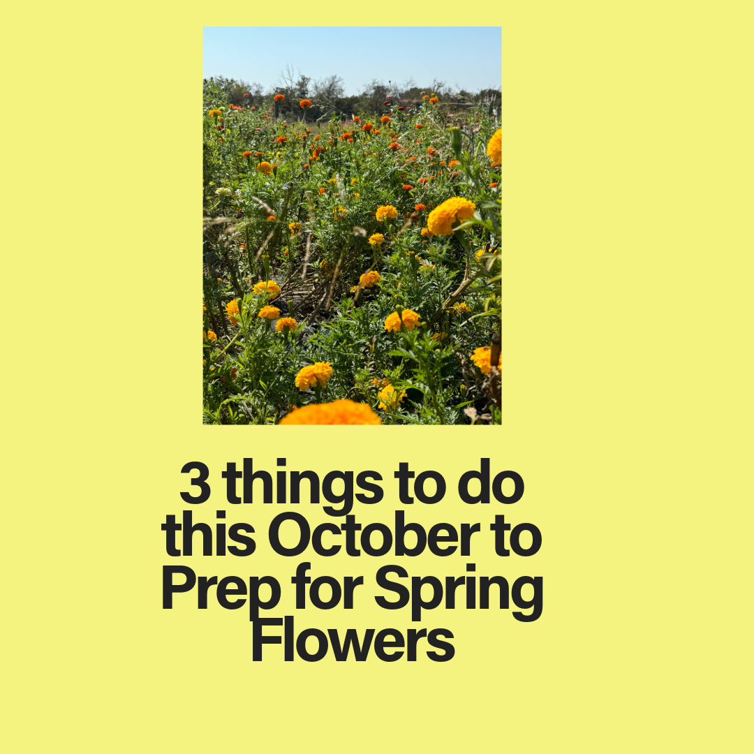 Fall chores on the flower farm: It's time to prepare for spring now!