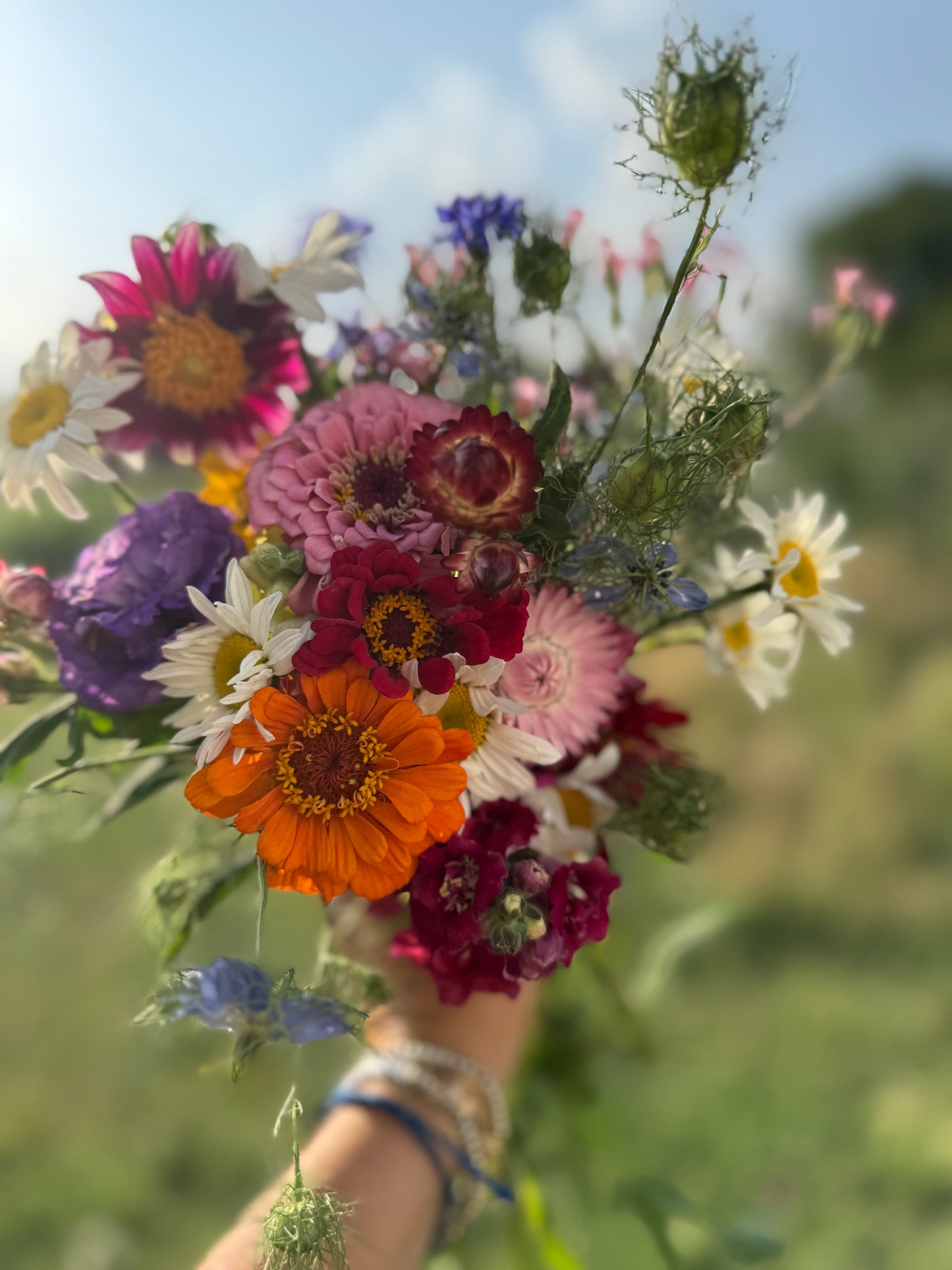Spring farm fresh flower CSA preorder
