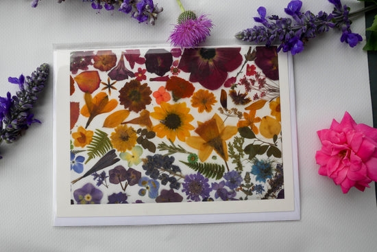 Pressed flower rainbow card