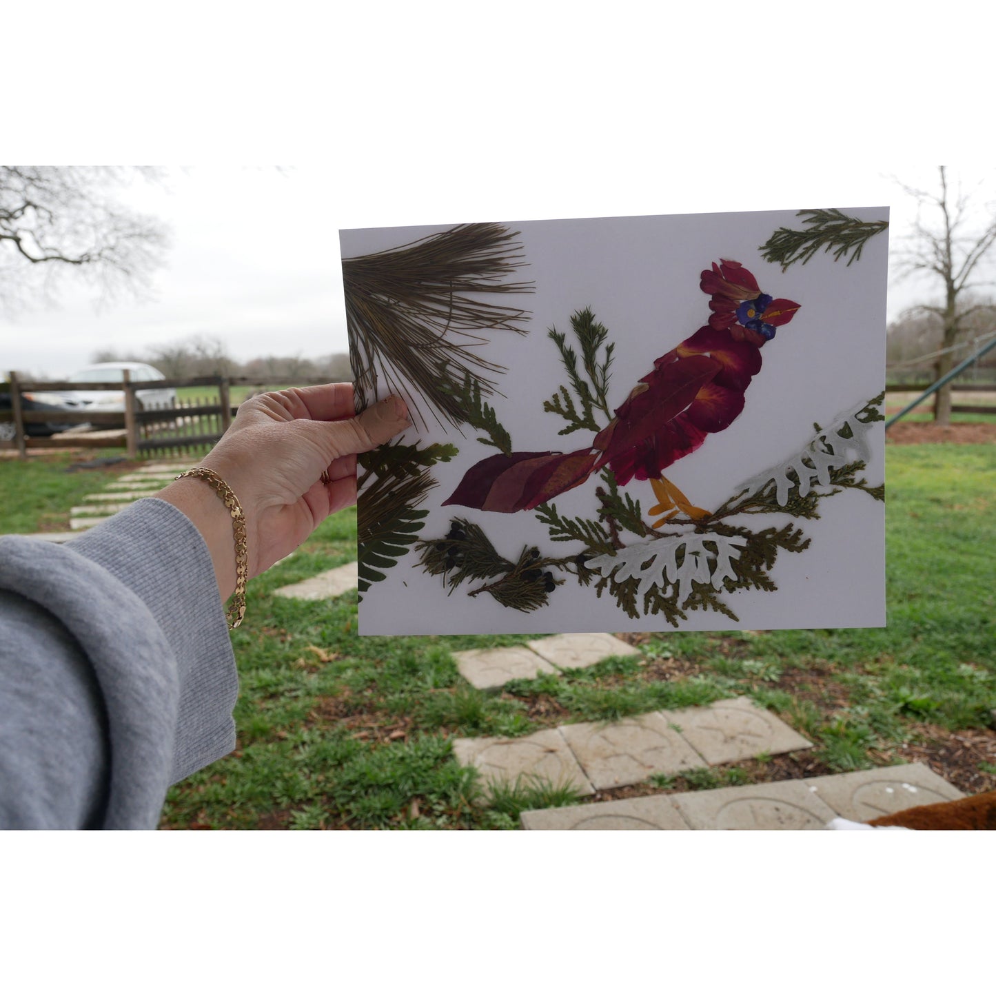 Pressed flower Cardinal  blank greeting card