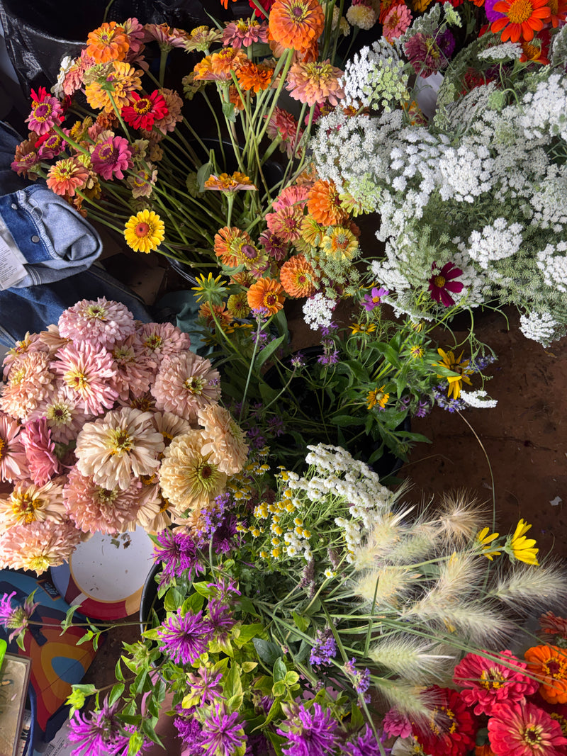 DIY Grower’s Bucket | Seasonal Farm-Grown Flowers (no shipping)