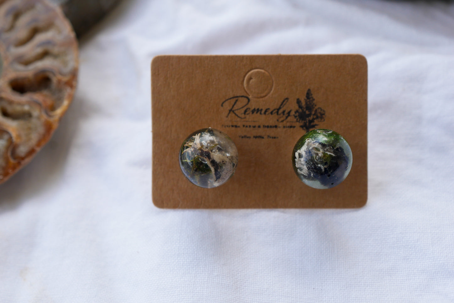 Dried moss spherical studs