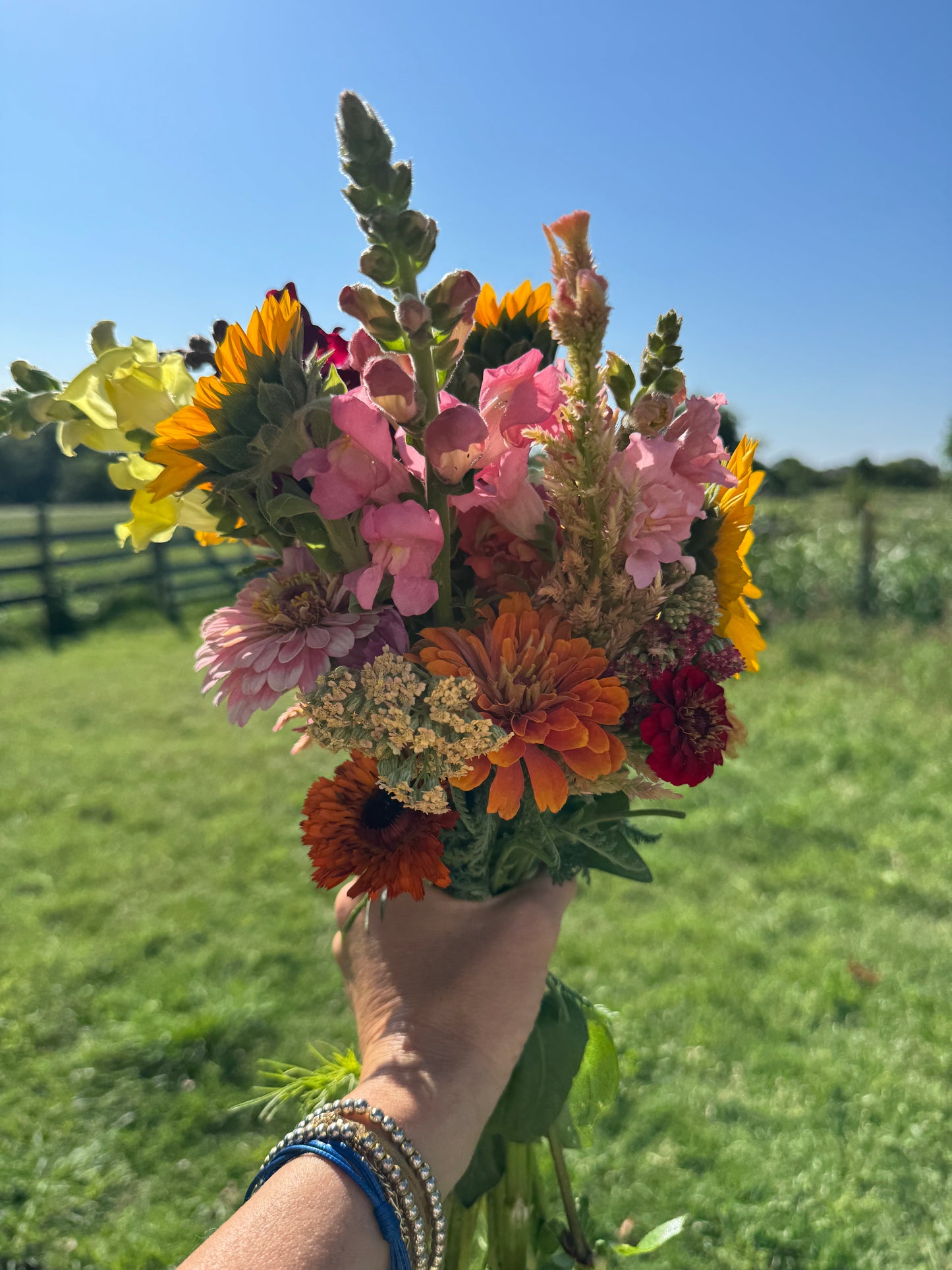 Spring farm fresh flower CSA preorder