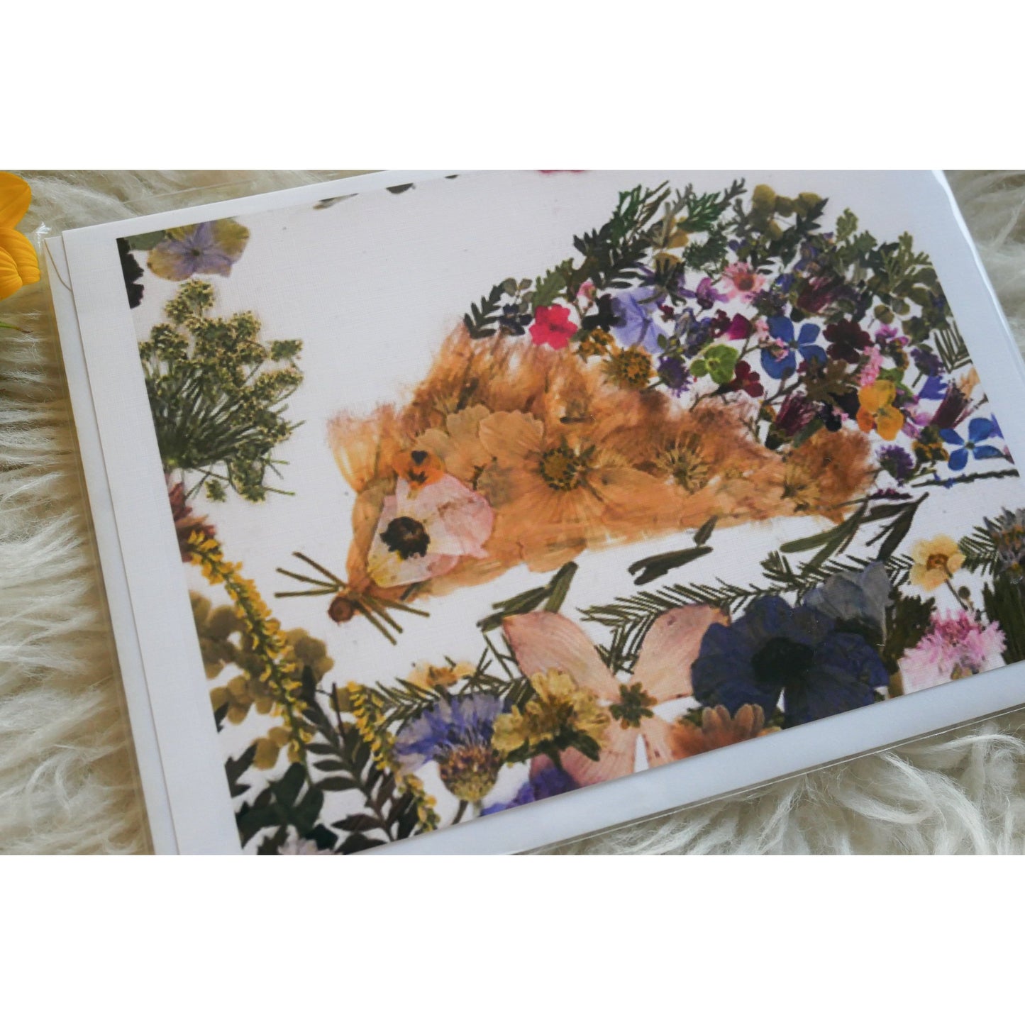 Pressed hedgehog greeting card, print