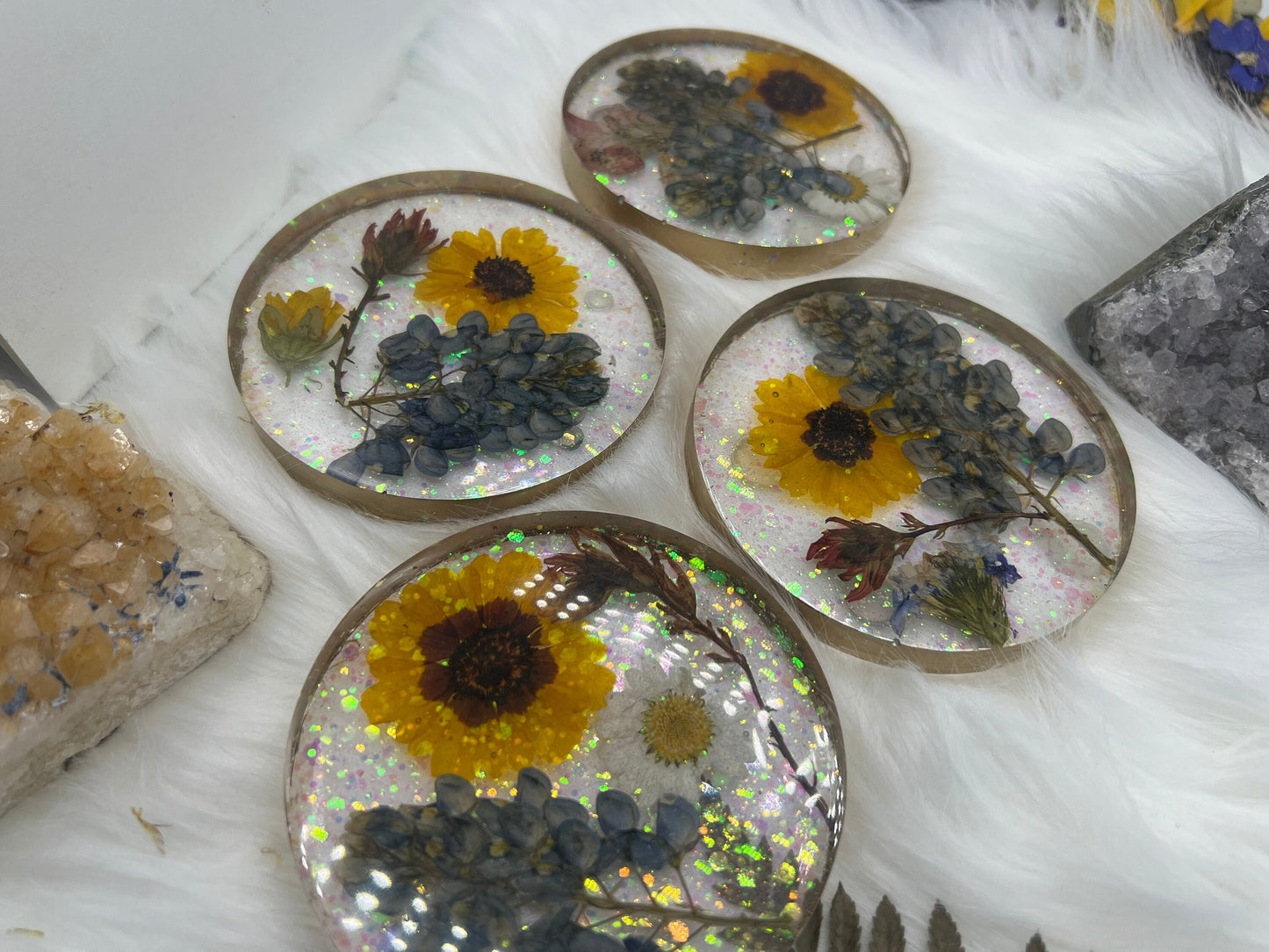 Texas wildflower coasters, pressed Texas bluebonnets, real Texas flower coaster set