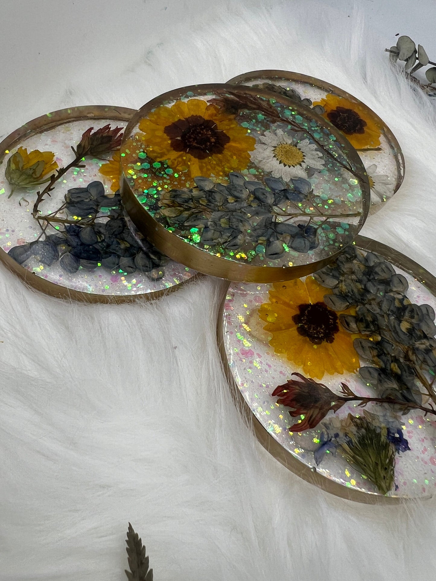 Texas wildflower coasters, pressed Texas bluebonnets, real Texas flower coaster set