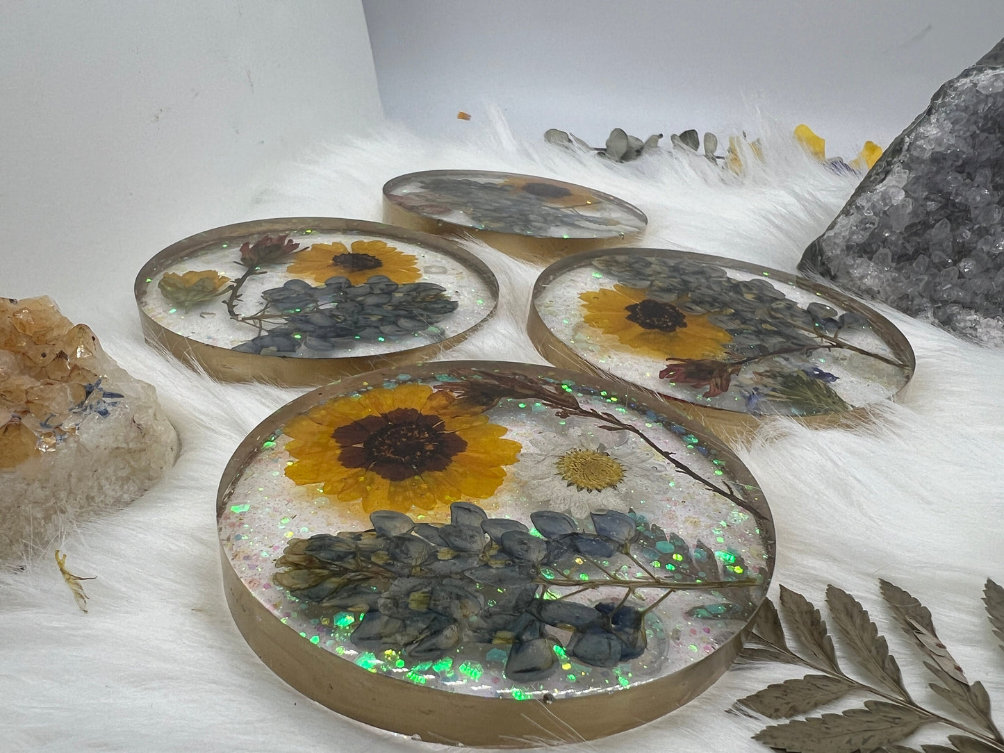 Texas wildflower coasters, pressed Texas bluebonnets, real Texas flower coaster set