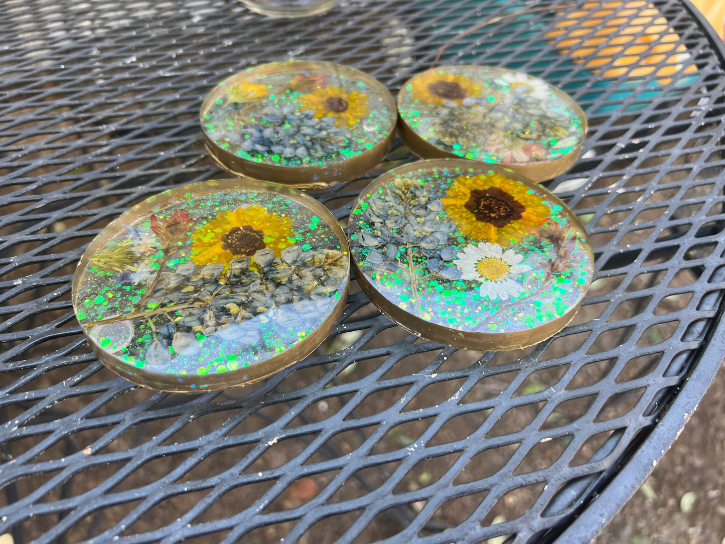 Texas wildflower coasters, pressed Texas bluebonnets, real Texas flower coaster set