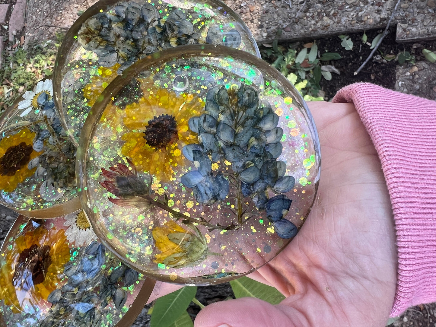Texas wildflower coasters, pressed Texas bluebonnets, real Texas flower coaster set