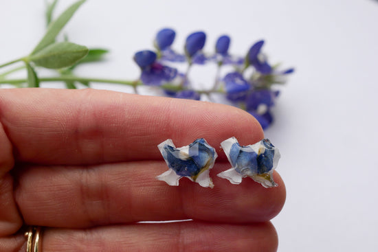Texas bluebonnet stud earrings, pressed bluebonnet studs, heart shaped studs, real bluebonnet earrings, Texas jewelry gift