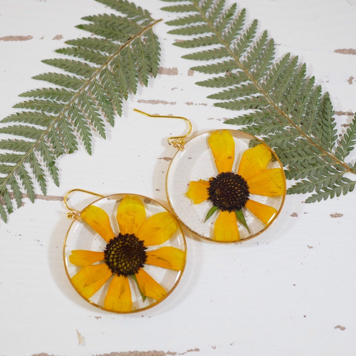 Pressed flower black  Eyed Susan earrings