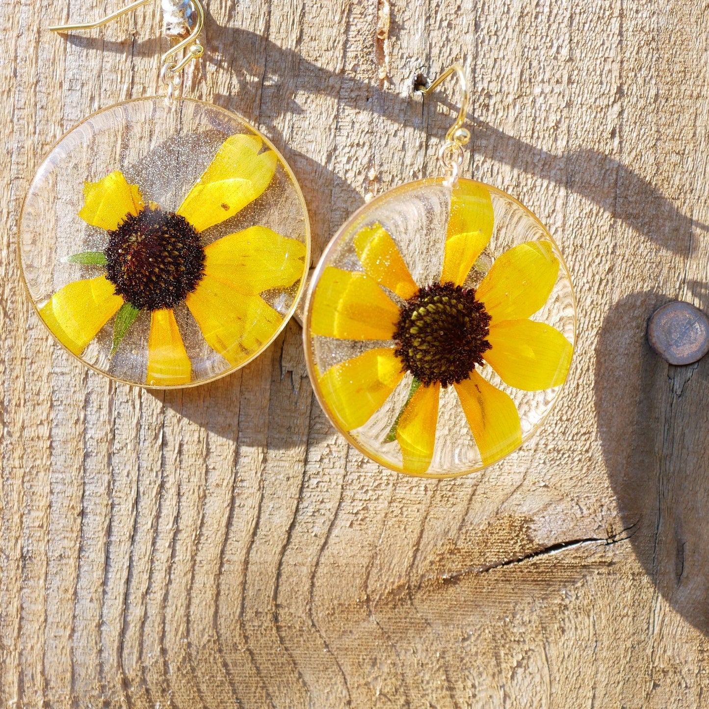 Pressed flower black  Eyed Susan earrings