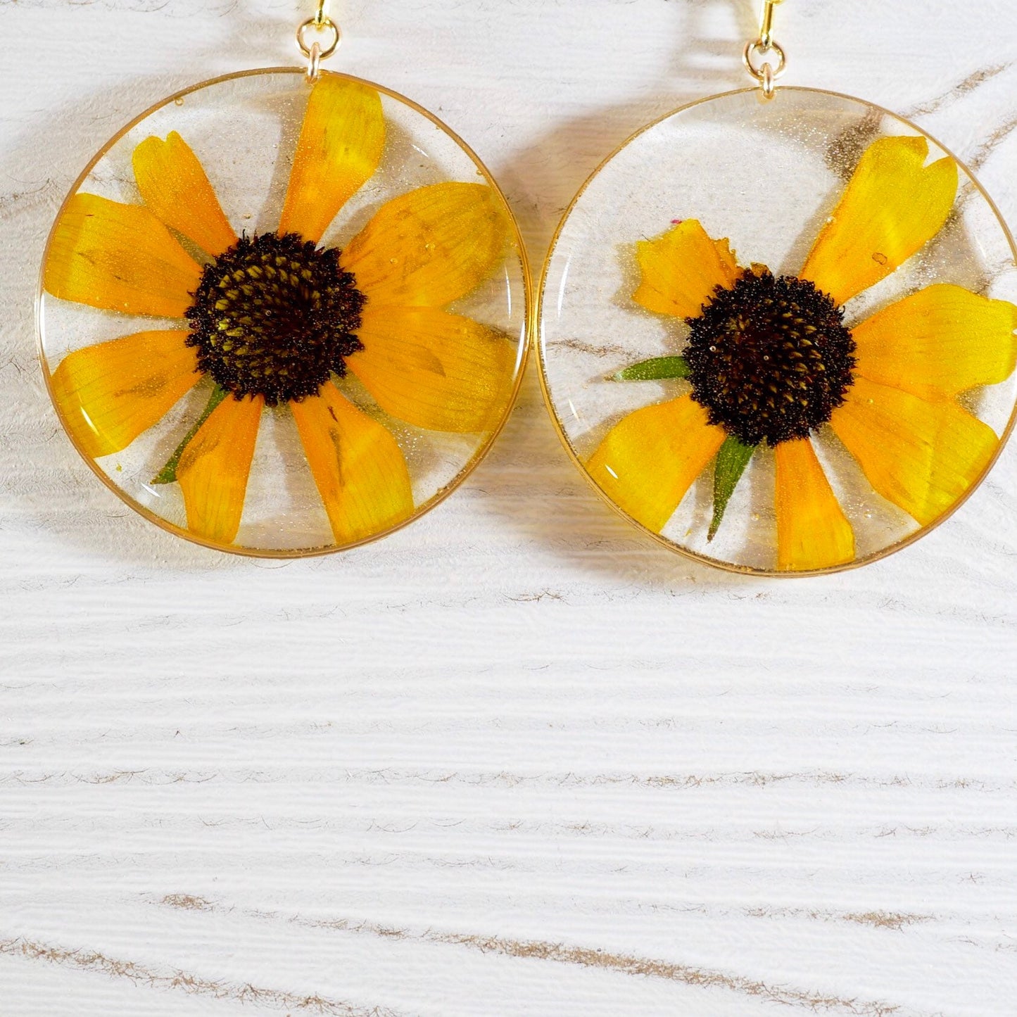 Pressed flower black  Eyed Susan earrings