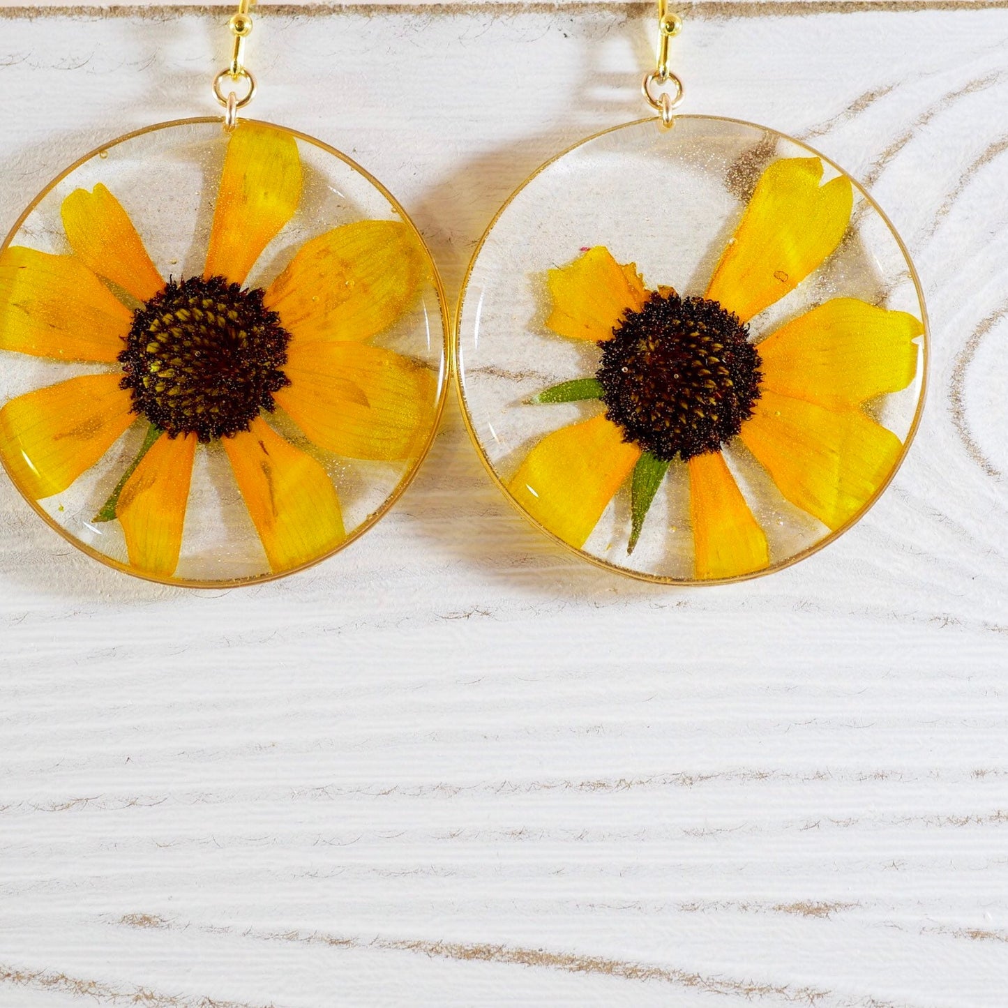 Pressed flower black  Eyed Susan earrings