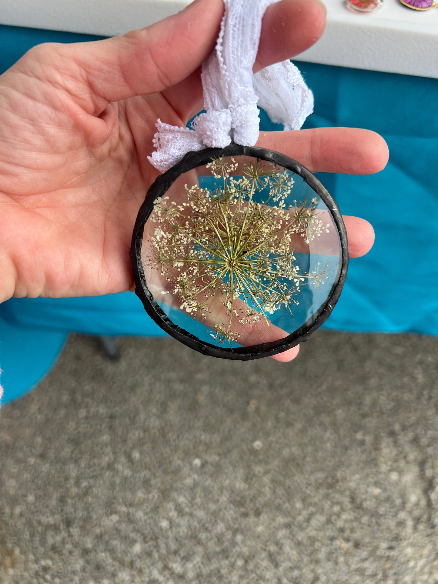 Pressed Queen Anne's lace  glass ornament, pressed flower ornament