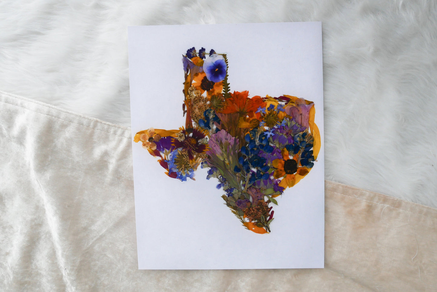 Pressed flower Texas art, real flower art PRINT, Texas wall art