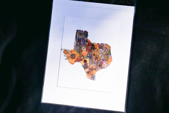 Pressed flower Texas art, real flower art PRINT, Texas wall art