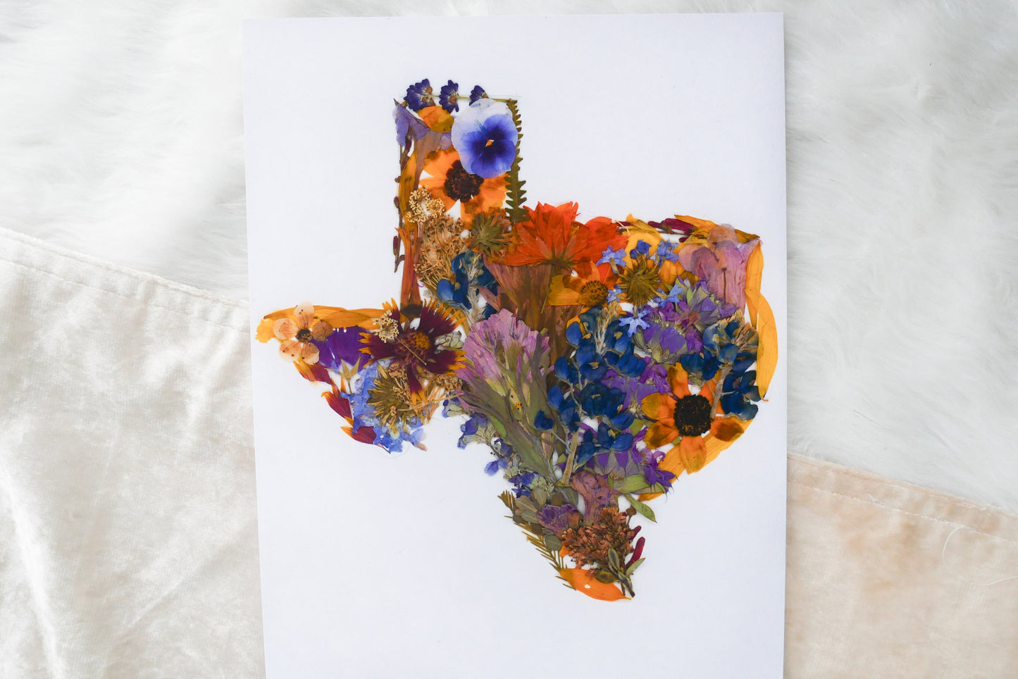 Pressed flower Texas art, real flower art PRINT, Texas wall art
