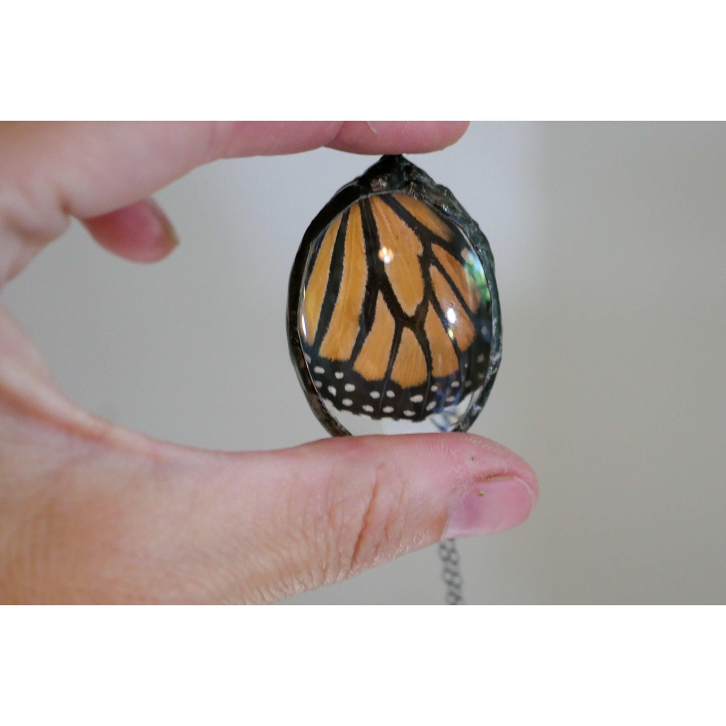 Monarch butterfly wing necklace