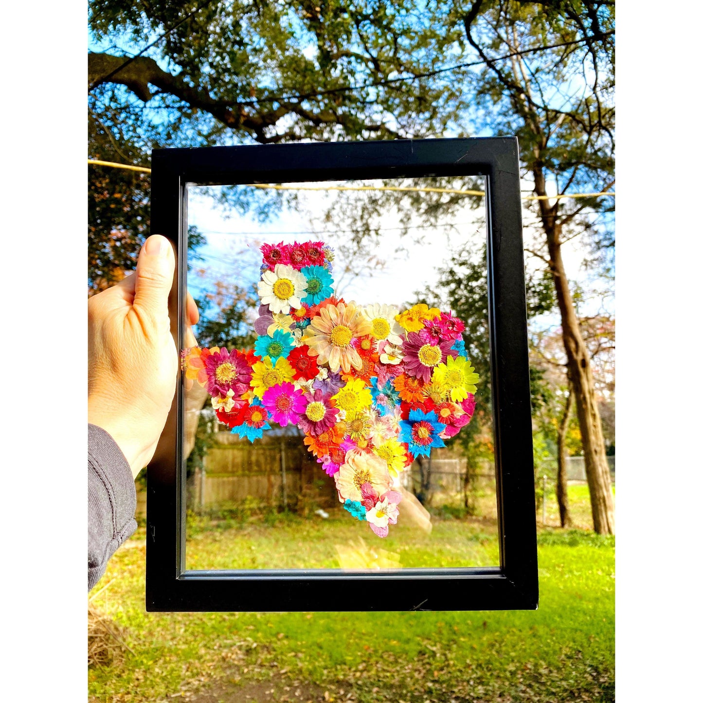 Pressed flower Texas in glass wall art