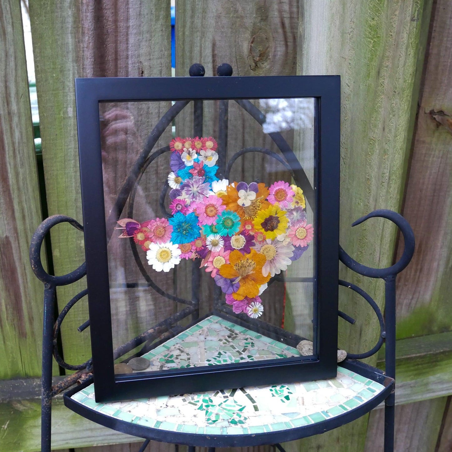Pressed flower Texas in glass wall art