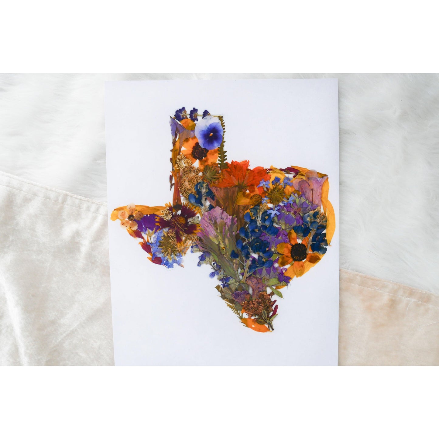 Pressed Texas art print