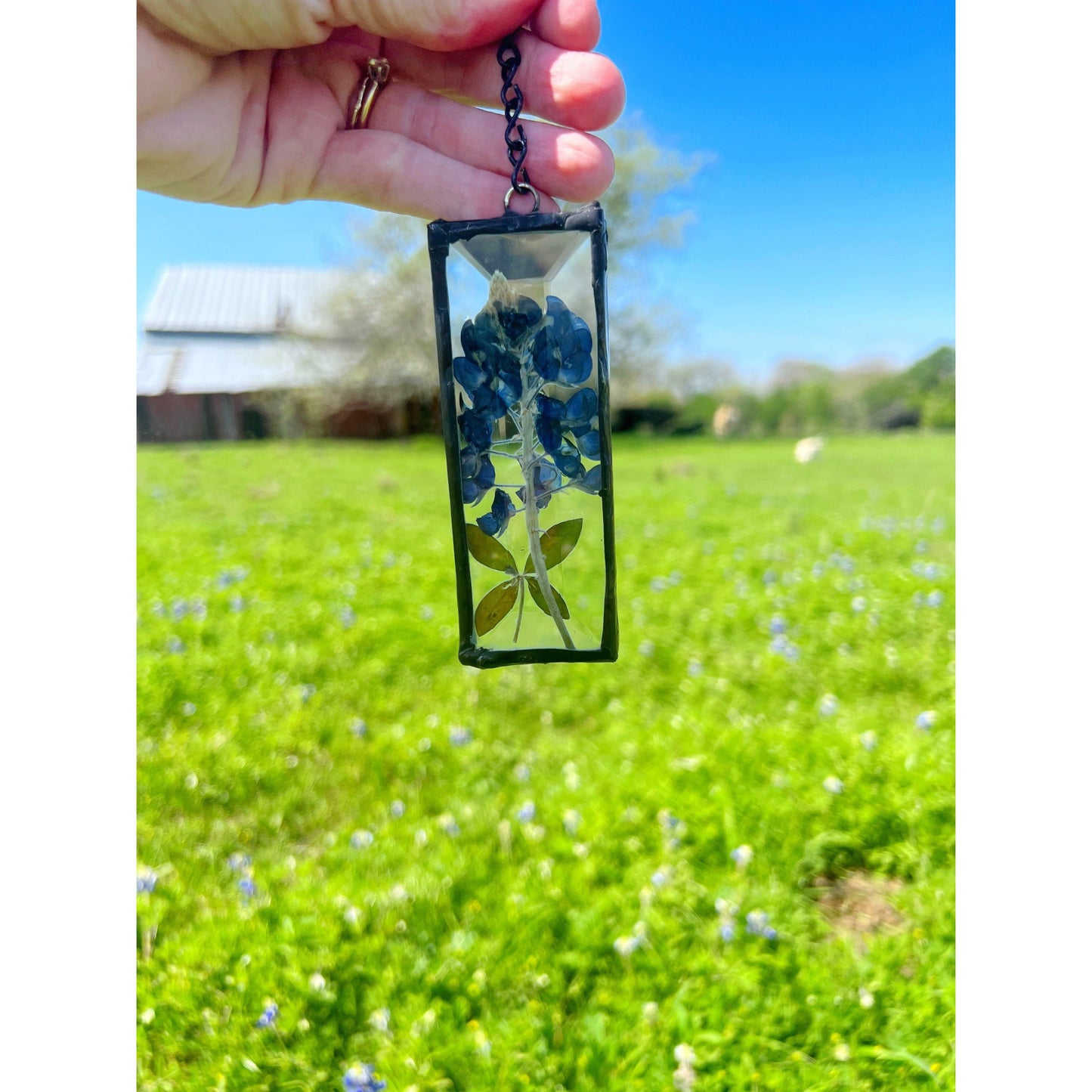 Texas bluebonnet suncatcher wall art