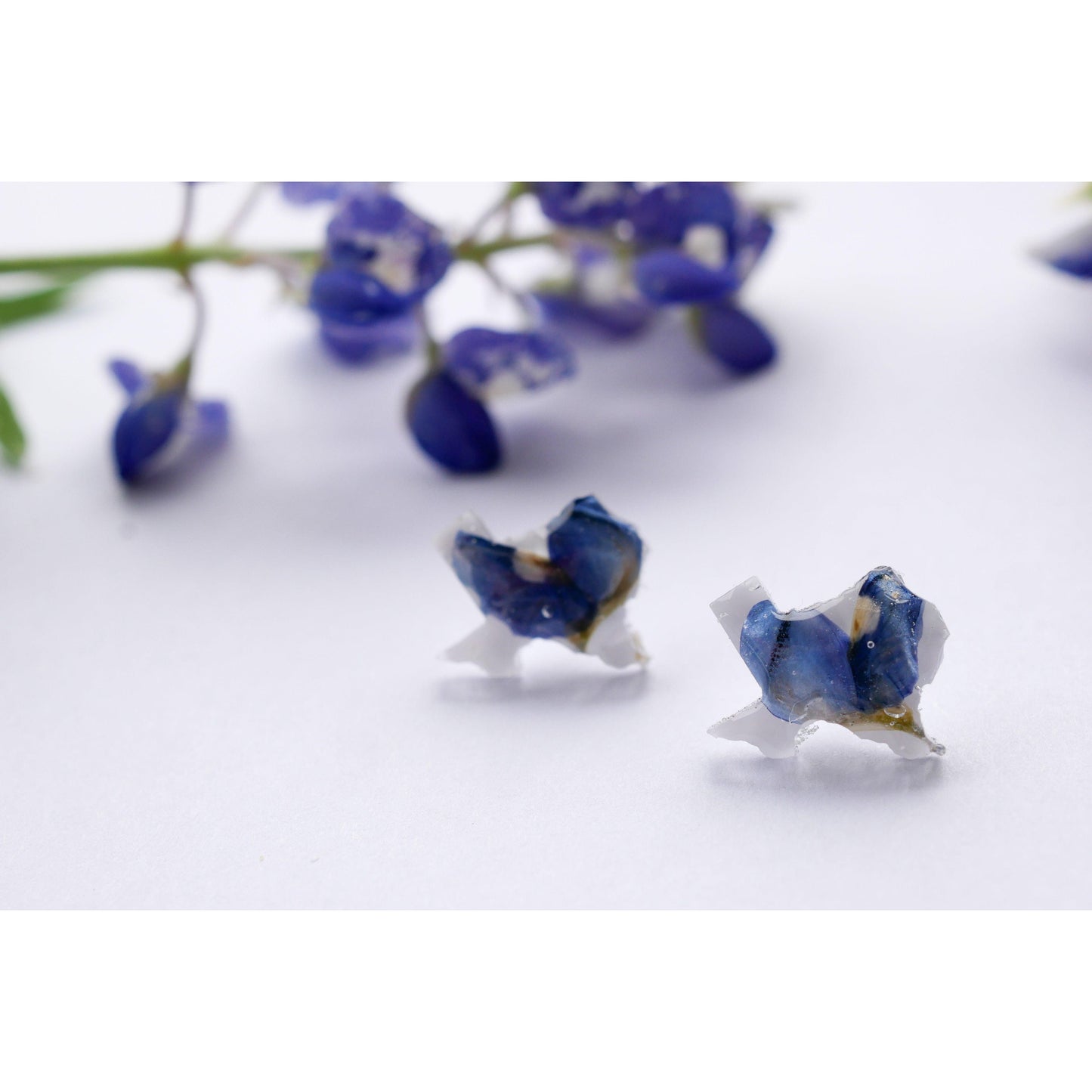 Texas shaped pressed bluebonnet stud earrings