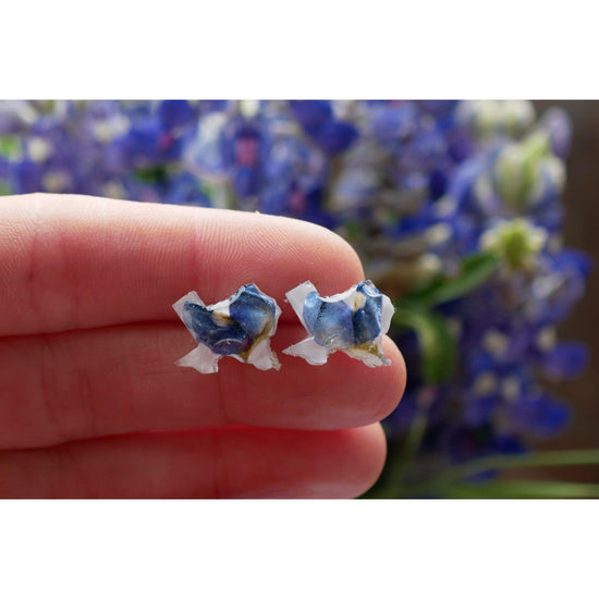 Texas shaped pressed bluebonnet stud earrings