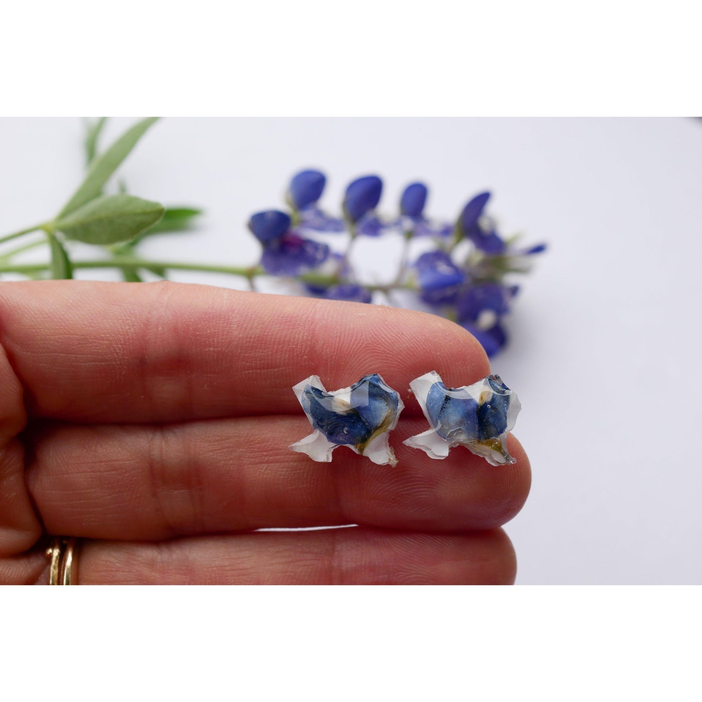 Texas shaped pressed bluebonnet stud earrings