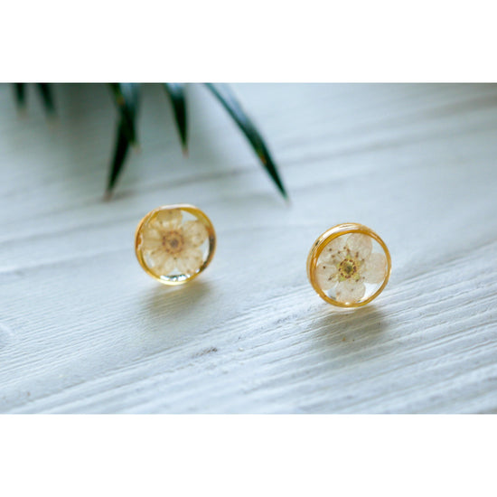 Tiny white flower studs