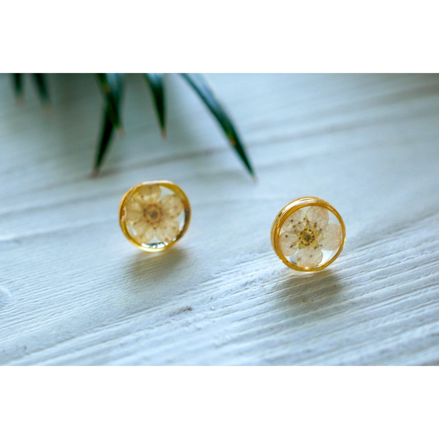 Tiny white flower studs