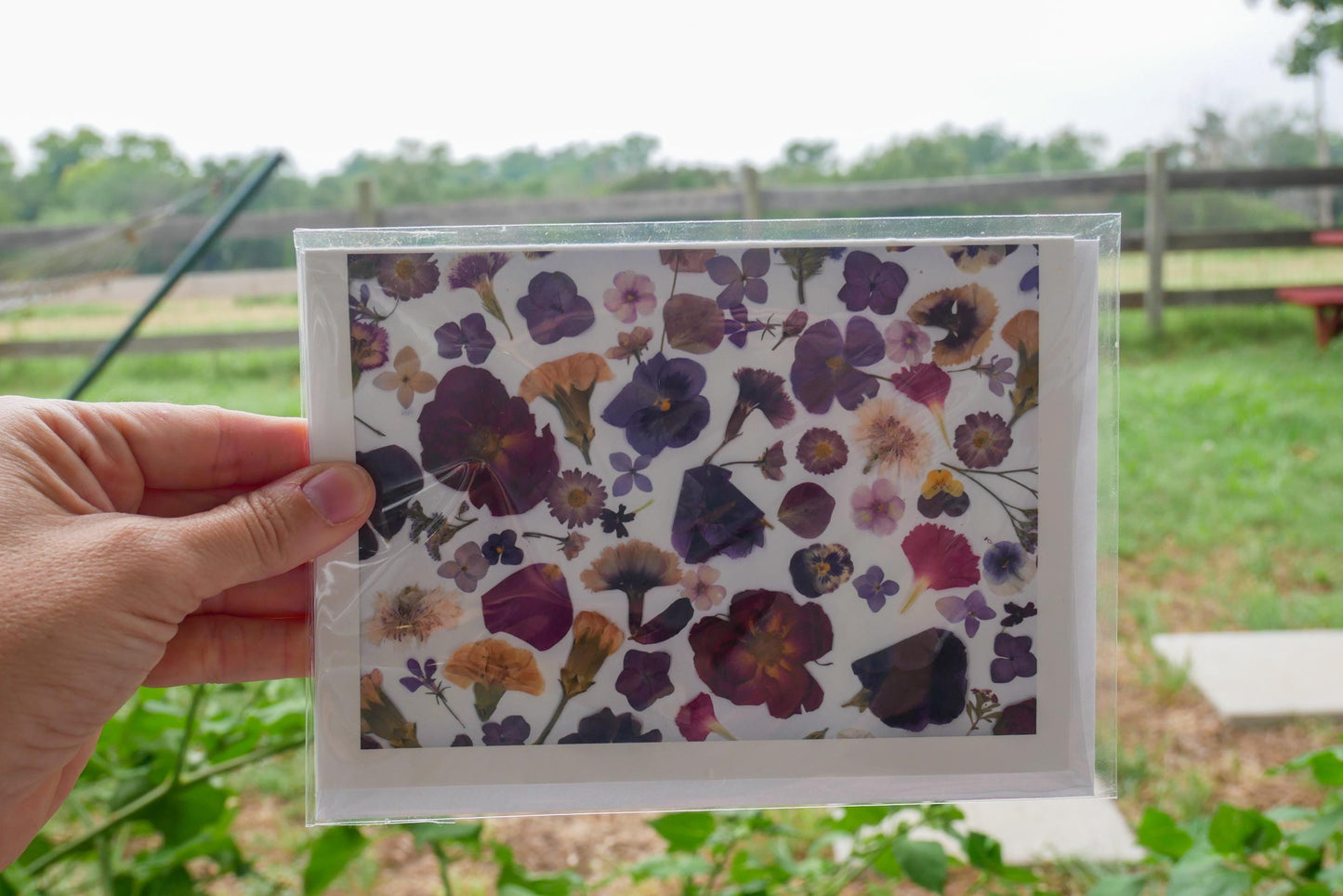 Title: Pressed Texas wildflower Greeting Card –PRINT, Blank Inside, Flowers Grown on Our Texas Farm