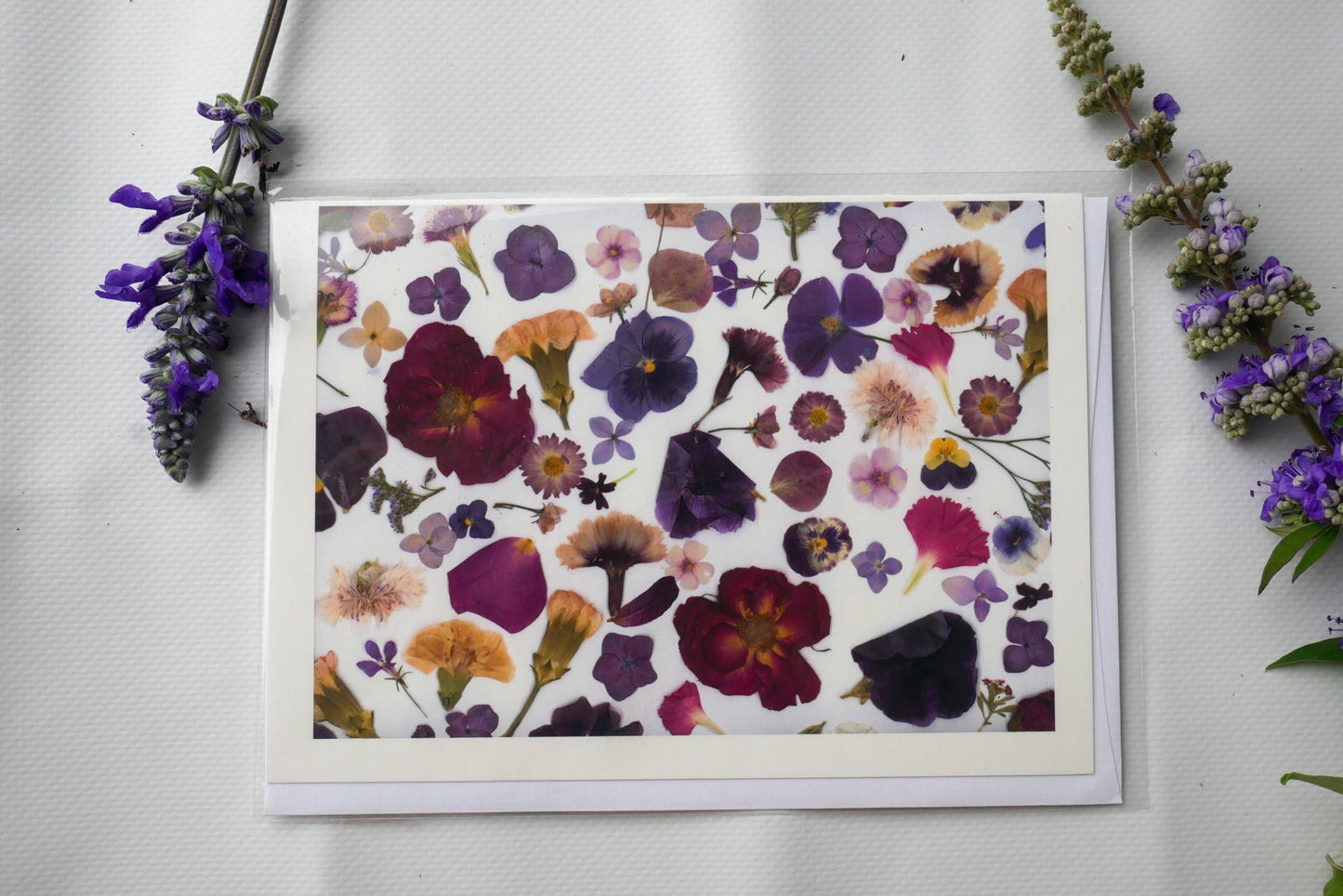 Title: Pressed Texas wildflower Greeting Card –PRINT, Blank Inside, Flowers Grown on Our Texas Farm