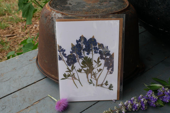 Title: Pressed Texas wildflower Greeting Card –PRINT, Blank Inside, Flowers Grown on Our Texas Farm