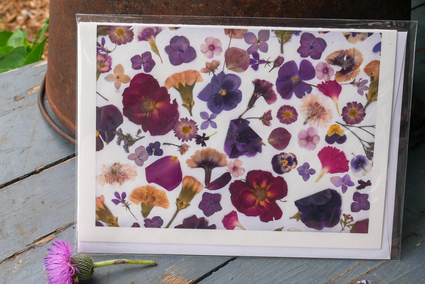 Title: Pressed Texas wildflower Greeting Card –PRINT, Blank Inside, Flowers Grown on Our Texas Farm