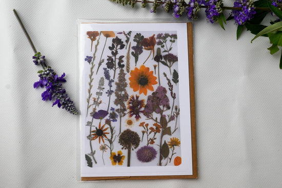 Title: Pressed Texas wildflower Greeting Card –PRINT, Blank Inside, Flowers Grown on Our Texas Farm