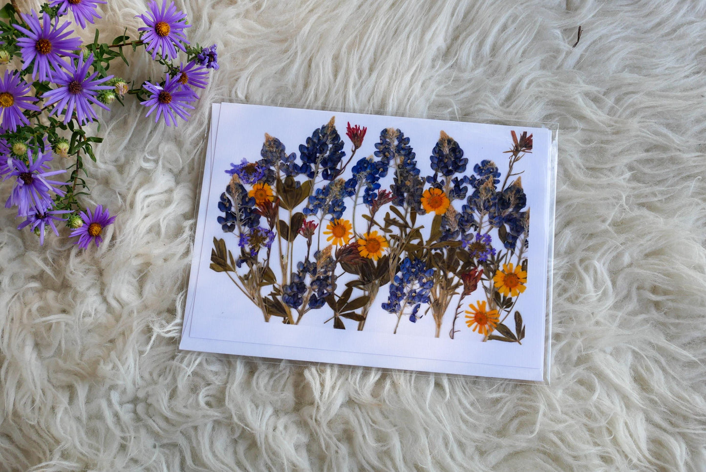 Pressed Texas wildflower greeting cards, bluebonnet art, Texas native flower art, set of cards