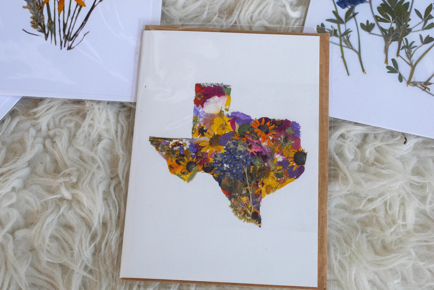 Pressed Texas wildflower greeting cards, bluebonnet art, Texas native flower art, set of cards