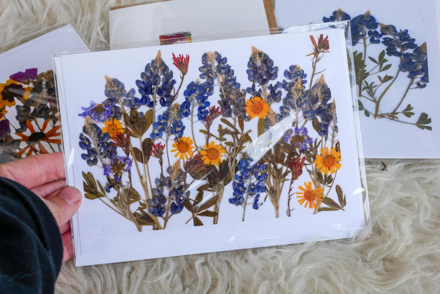 Pressed Texas wildflower greeting cards, bluebonnet art, Texas native flower art, set of cards