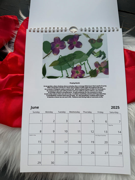 2025 wall calendar with whimsical art prints, pressed flower art,