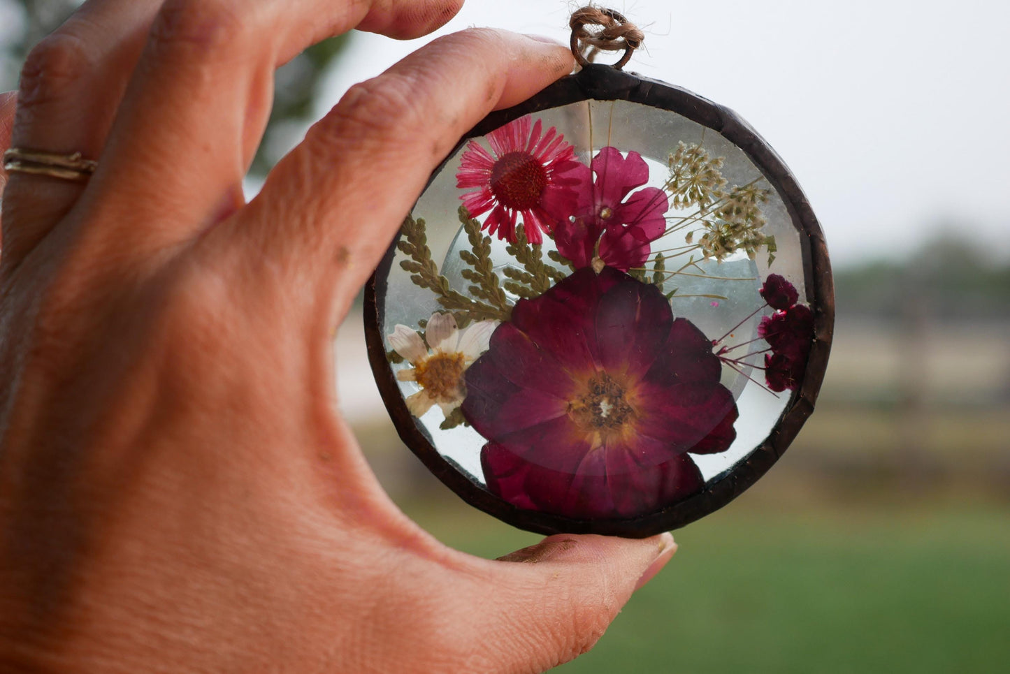 Pressed sunflower  glass ornament hand soldered pressed flower ornament