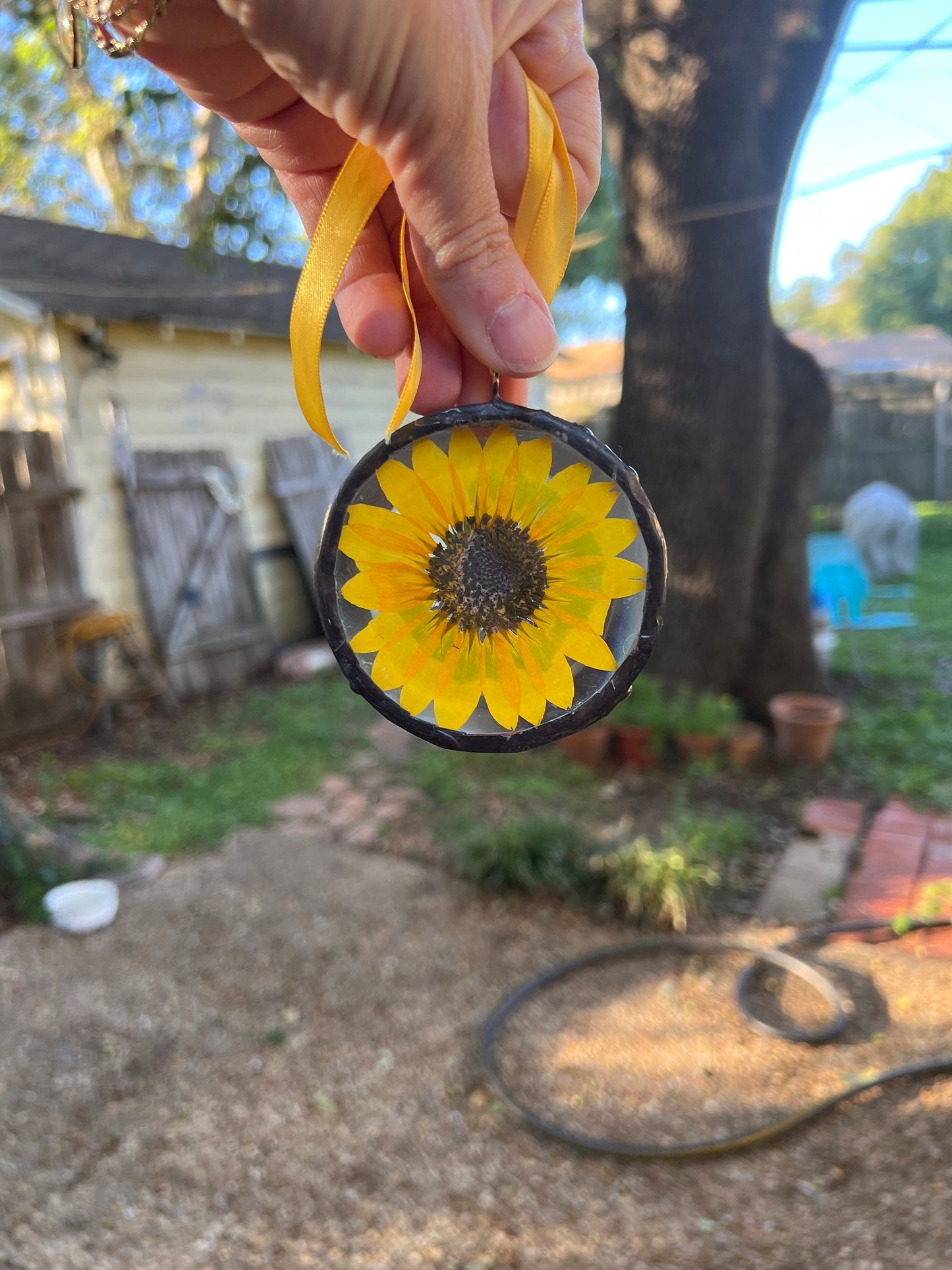 Pressed sunflower  glass ornament hand soldered pressed flower ornament